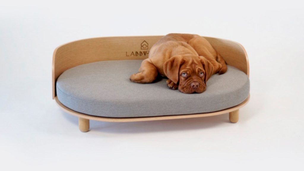 Sofá para Perros LOUE con cachorro encima