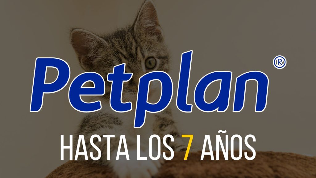 PETPLAN SEGURO PARA GATOS MAYORES