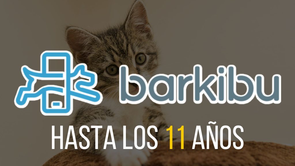 BARKIBU SEGURO PARA GATOS MAYORES