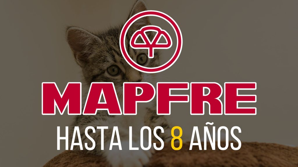 MAPFRE SEGURO PARA GATOS MAYORES