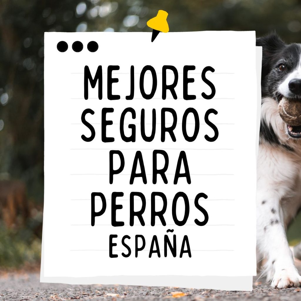 MEJORES SEGUROS PARA PERROS DE ESPAÑA