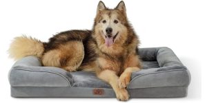 Bedsure cama ortopédica para perros