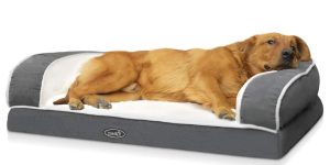 PECUTE Cama ortopédica para mascotas