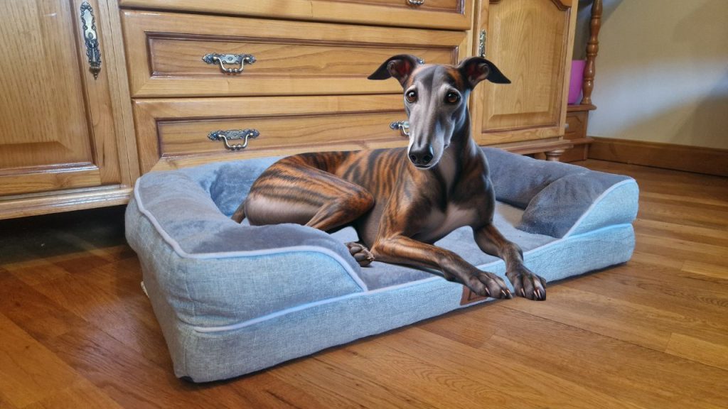 Sofá Cama ortopédica para galgos EHEYCIGA con espuma viscoelástica, de color gris.