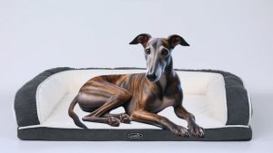 PECUTE Cama ortopédica para mascotas. Galgo tumbado