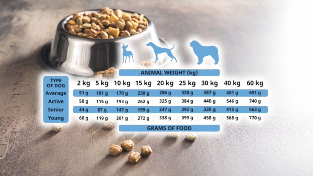 Ejemplo cantidad de pienso que hay que darle a tu perro según su peso