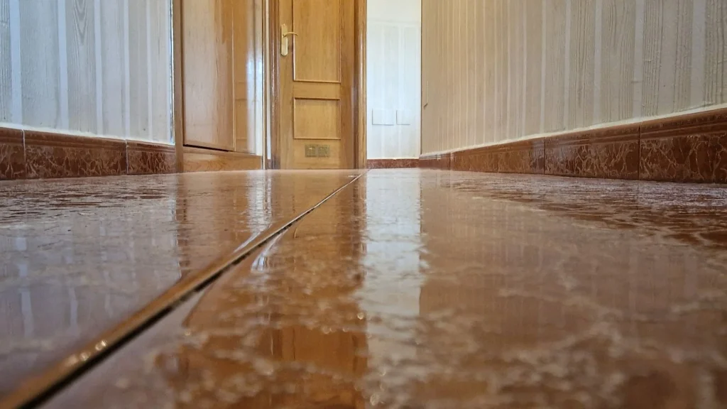 Pasillo limpio después de pasar la conga 8290 inmortal power