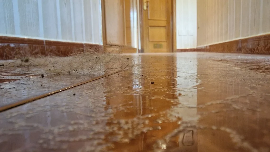 Pasillo de mi casa lleno de pelos de mascotas y polvo.