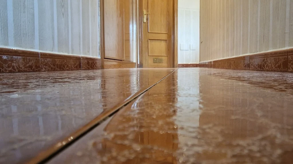 Pasillo limpio después de la prueba de aspiración de pelos de mascotas de la conga 8290 inmortal power