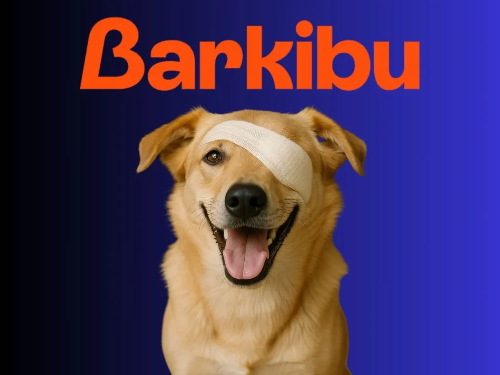 Perro con una venda después de ir al veterinario, está contento porque tiene el seguro Barkibu