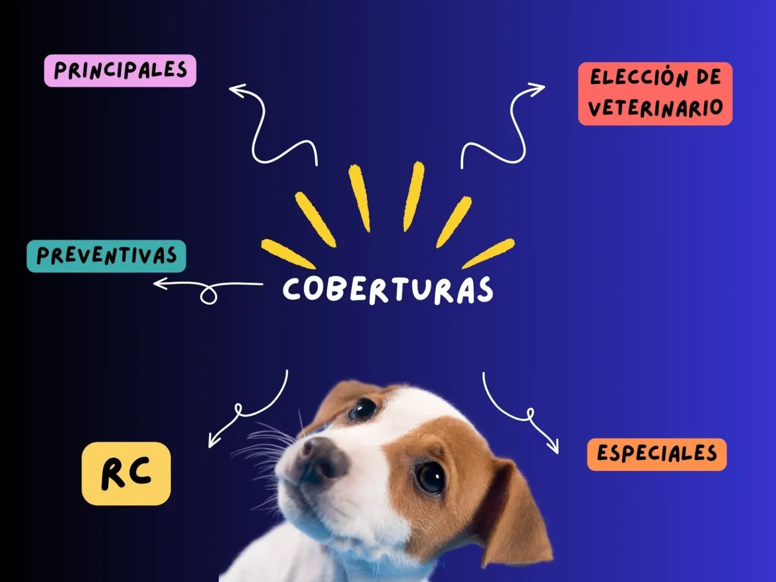 Tipos de coberturas en un seguro para mascotas