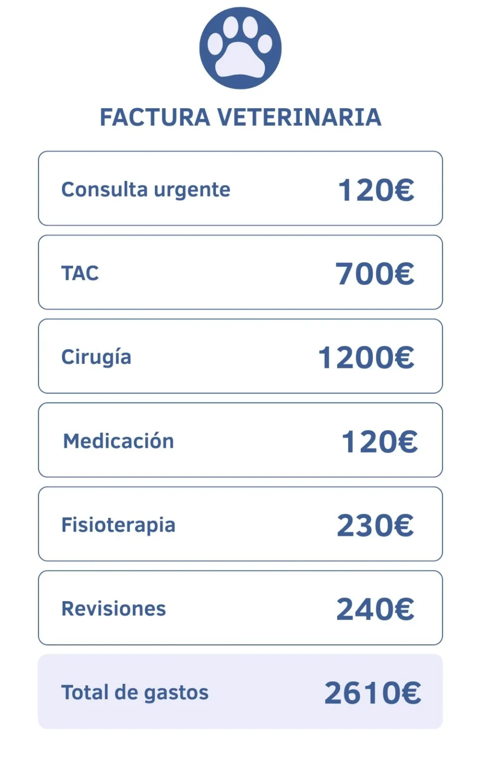 Ejemplo de factura veterinaria