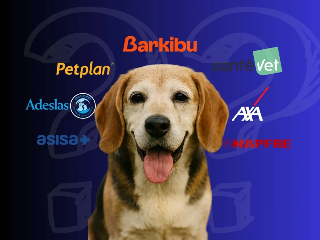 Seguros para perros mayores: opciones y precios