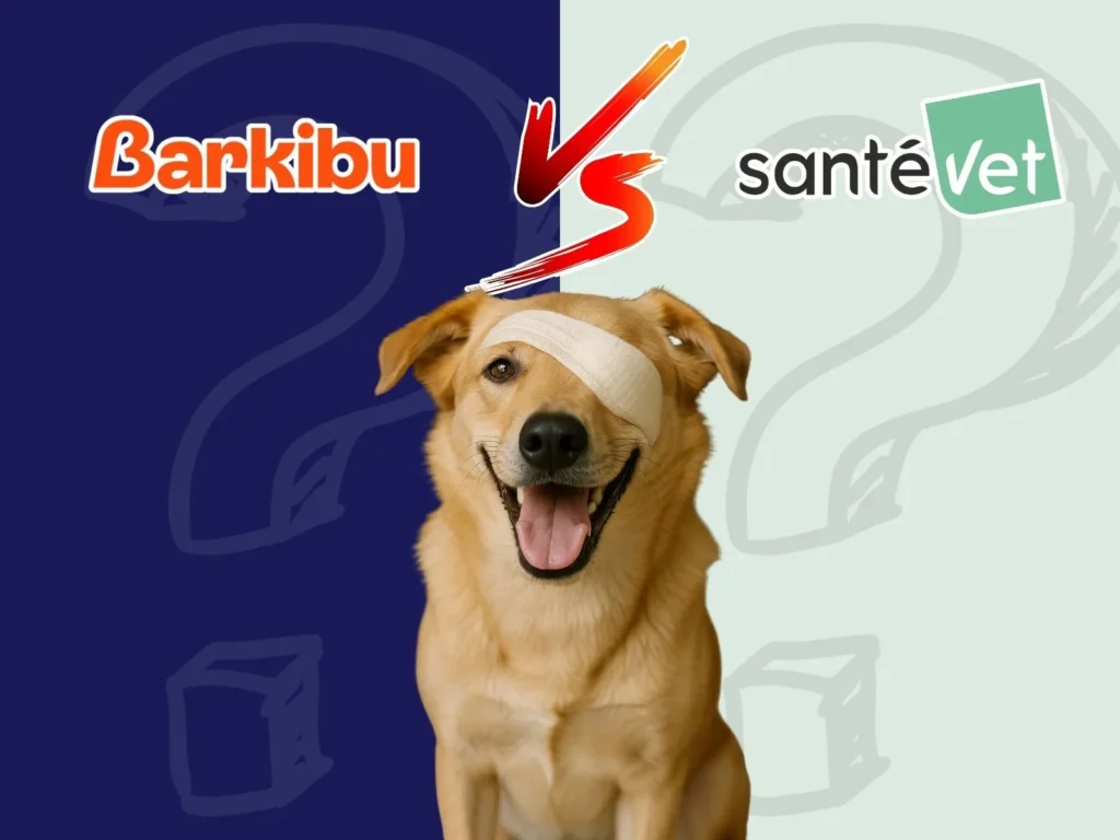 Barkibu o Santevet la comparativa definitiva