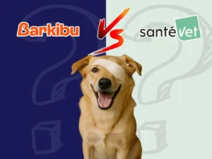 Barkibu o Santevet la comparativa definitiva