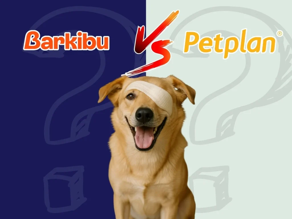 Barkibu o Petplan la comparativa definitiva 2025