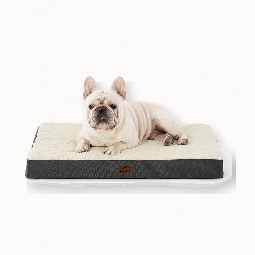 Bedsure cama ortopédica para perro pequeño sobre fondo claro
